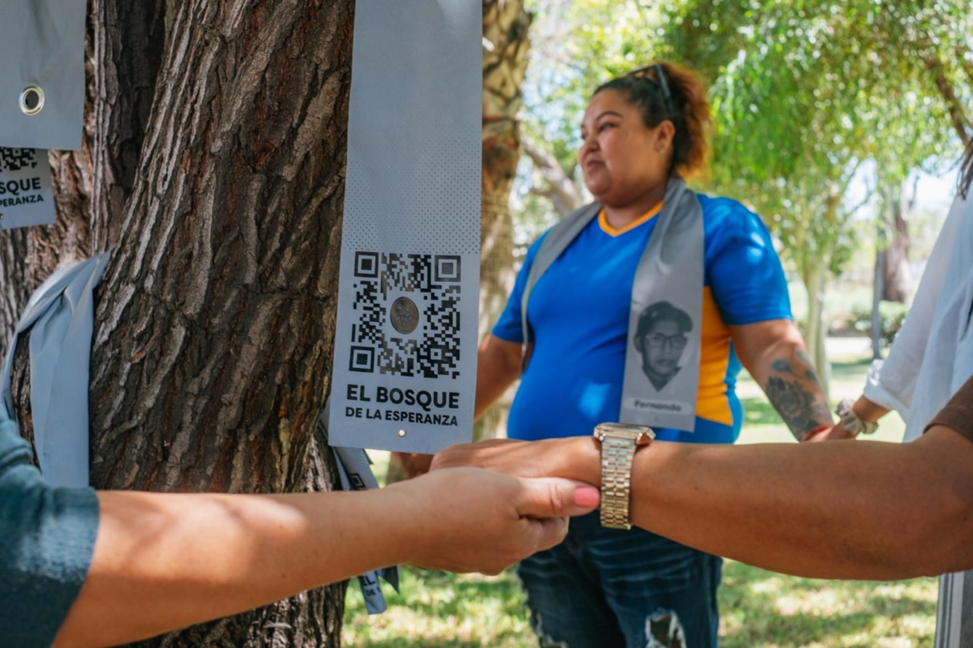 El bosque de la Esperanza 8